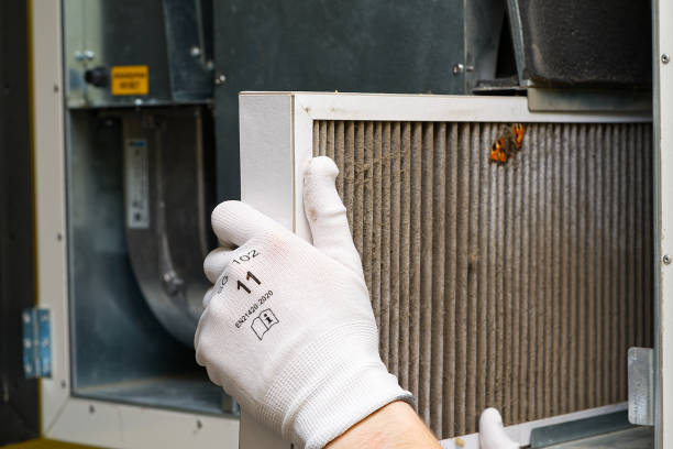 Best Emergency Air Duct Cleaning  in Newnan, GA